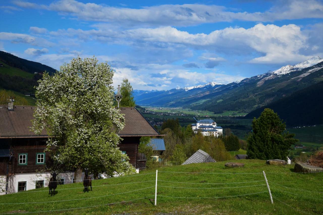 Hotel Pension Schachernhof Mittersill Exterior foto